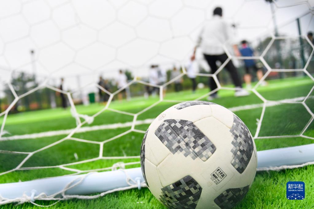 他将在接下 他将在接下