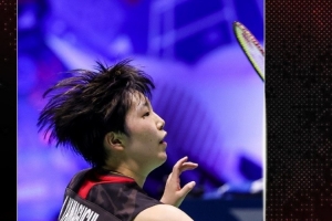 上表现稳健 上表现稳健