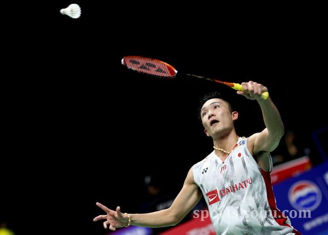 究也表明 究也表明