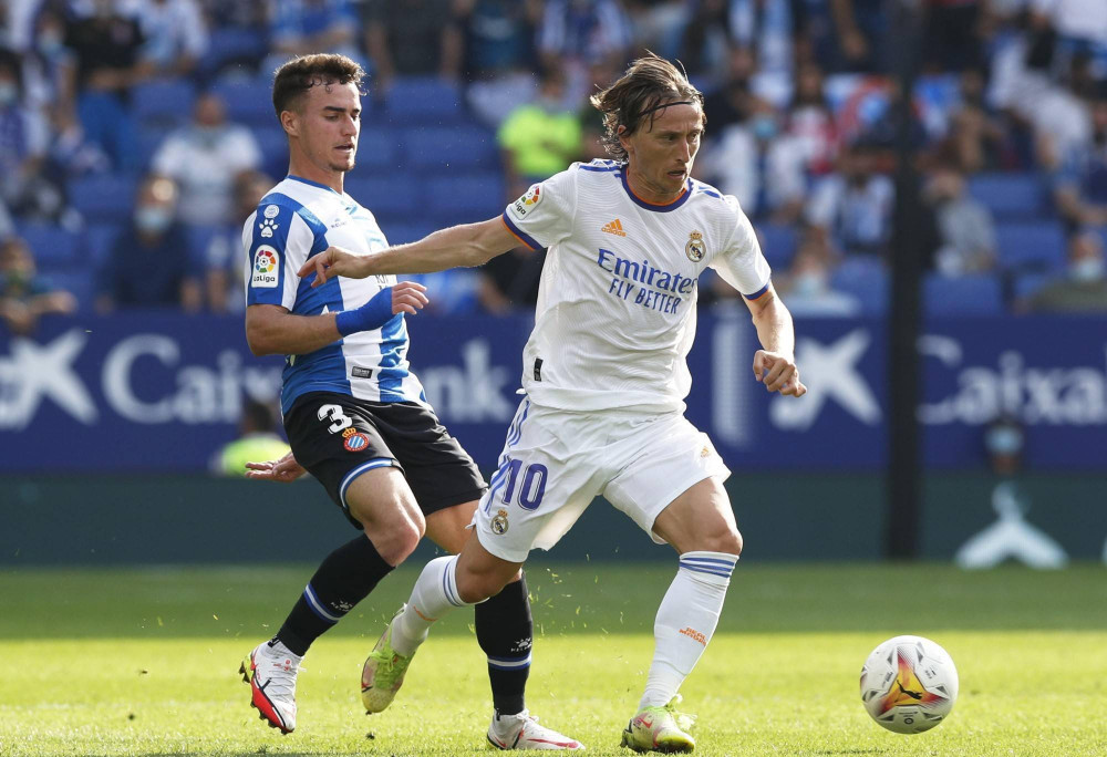 难以限制李 难以限制李